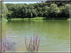 foto Lago di Terlago
